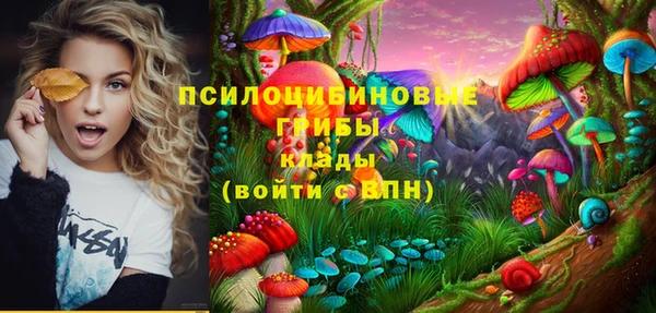прущий лед Бородино