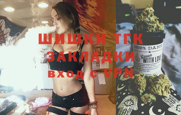 прущий лед Бородино