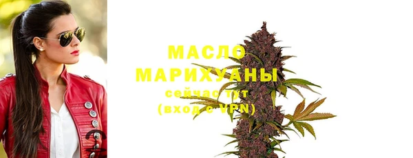 прущий лед Бородино