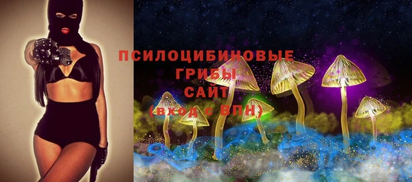 хмурый Верхний Тагил