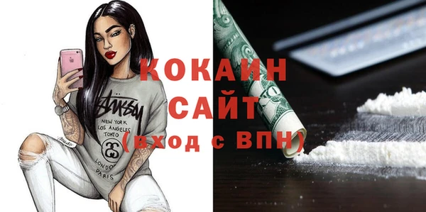 прущий лед Бородино