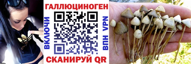 Купить  Старая Русса  Галлюциногенные грибы MAGIC MUSHROOMS 